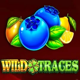 Official Slots logo: Wild Traces by Amusnet Interactive at Slotmonkey Casino